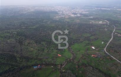 ÇANAKKALE AYVACIK İMAR SINIRINDA 122 DÖNÜM TEKTAPU SATILIK ARAZİ