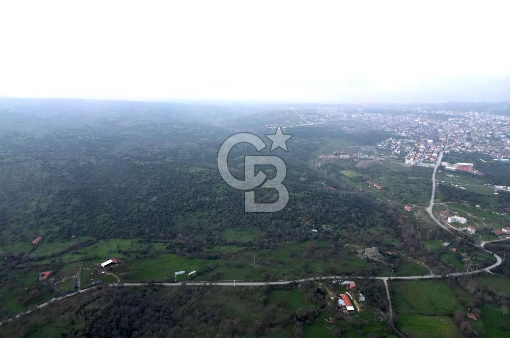 ÇANAKKALE AYVACIK İMAR SINIRINDA 122 DÖNÜM TEKTAPU SATILIK ARAZİ