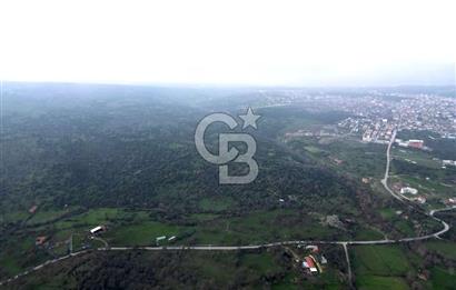 ÇANAKKALE AYVACIK İMAR SINIRINDA 122 DÖNÜM TEKTAPU SATILIK ARAZİ