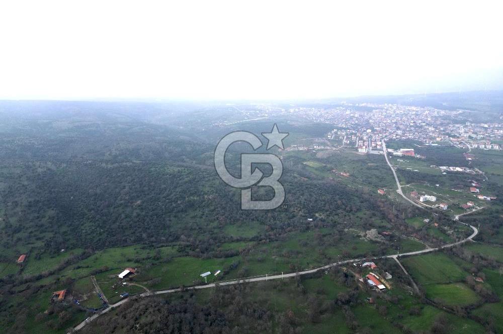 ÇANAKKALE AYVACIK İMAR SINIRINDA 122 DÖNÜM TEKTAPU SATILIK ARAZİ