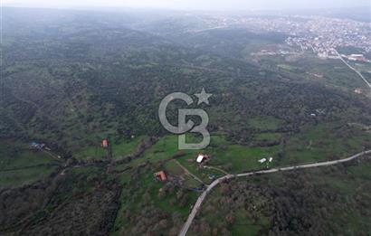 ÇANAKKALE AYVACIK İMAR SINIRINDA 122 DÖNÜM TEKTAPU SATILIK ARAZİ