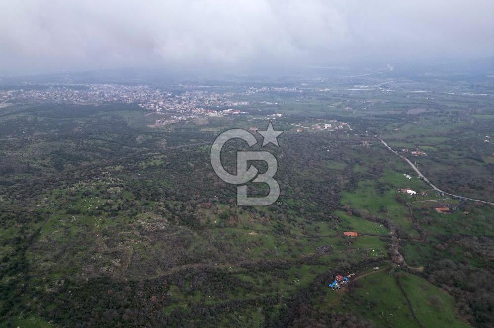 ÇANAKKALE AYVACIK İMAR SINIRINDA 122 DÖNÜM TEKTAPU SATILIK ARAZİ