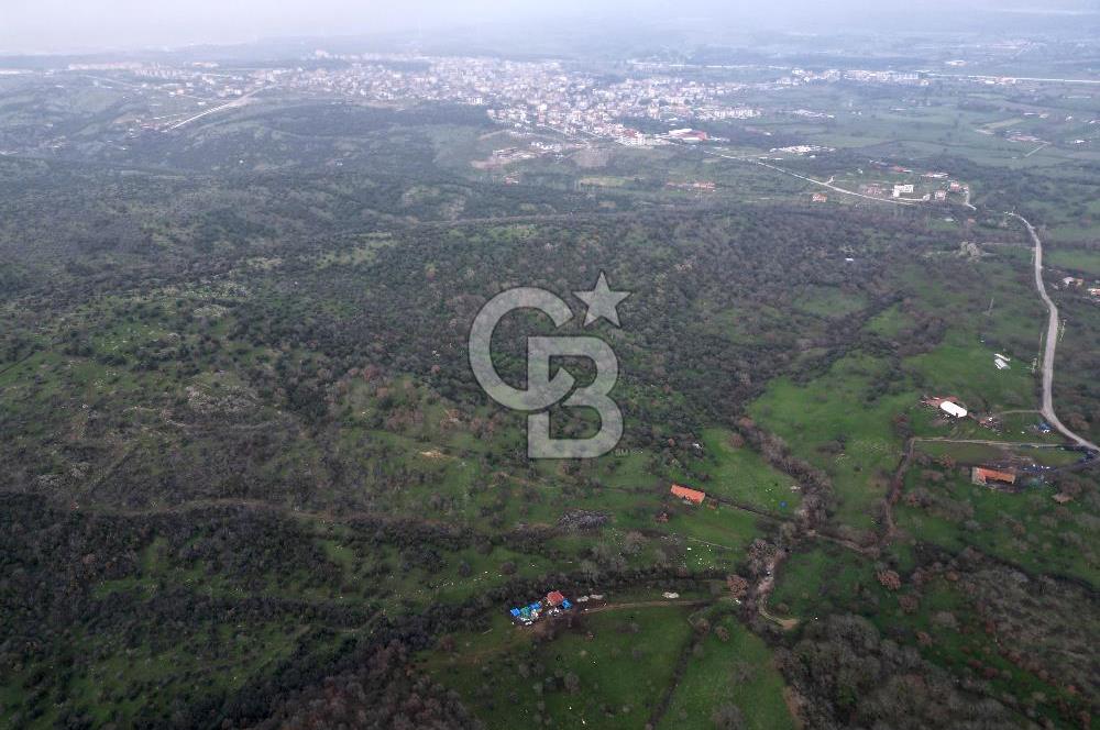 ÇANAKKALE AYVACIK İMAR SINIRINDA 122 DÖNÜM TEKTAPU SATILIK ARAZİ