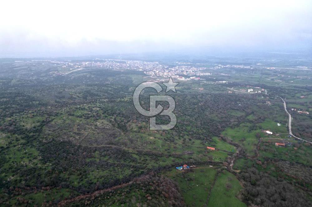 ÇANAKKALE AYVACIK İMAR SINIRINDA 122 DÖNÜM TEKTAPU SATILIK ARAZİ