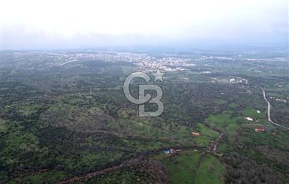 ÇANAKKALE AYVACIK İMAR SINIRINDA 122 DÖNÜM TEKTAPU SATILIK ARAZİ