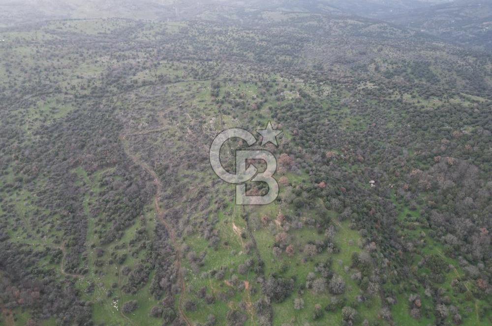 ÇANAKKALE AYVACIK İMAR SINIRINDA 122 DÖNÜM TEKTAPU SATILIK ARAZİ