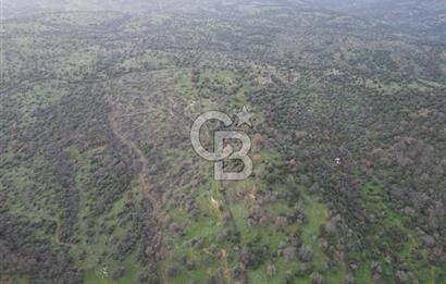 ÇANAKKALE AYVACIK İMAR SINIRINDA 122 DÖNÜM TEKTAPU SATILIK ARAZİ