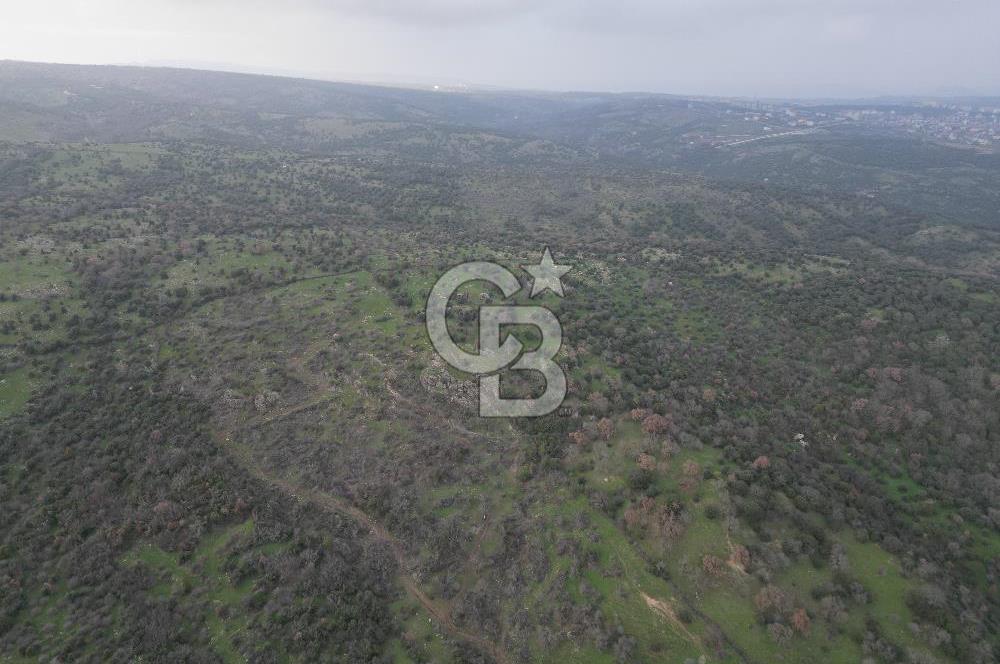 ÇANAKKALE AYVACIK İMAR SINIRINDA 122 DÖNÜM TEKTAPU SATILIK ARAZİ