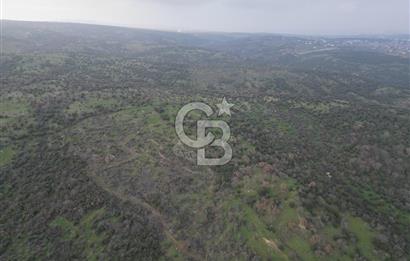 ÇANAKKALE AYVACIK İMAR SINIRINDA 122 DÖNÜM TEKTAPU SATILIK ARAZİ