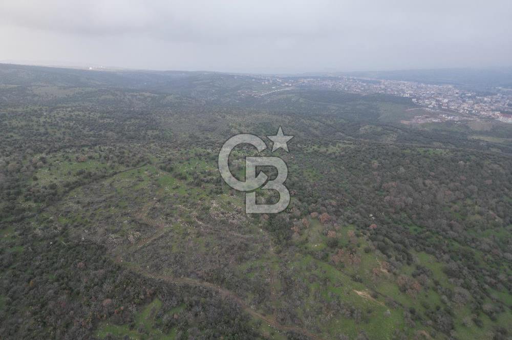 ÇANAKKALE AYVACIK İMAR SINIRINDA 122 DÖNÜM TEKTAPU SATILIK ARAZİ