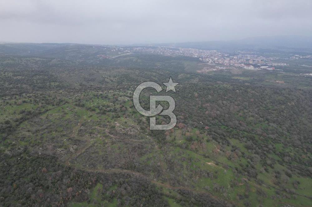 ÇANAKKALE AYVACIK İMAR SINIRINDA 122 DÖNÜM TEKTAPU SATILIK ARAZİ