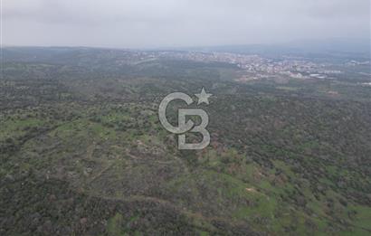 ÇANAKKALE AYVACIK İMAR SINIRINDA 122 DÖNÜM TEKTAPU SATILIK ARAZİ