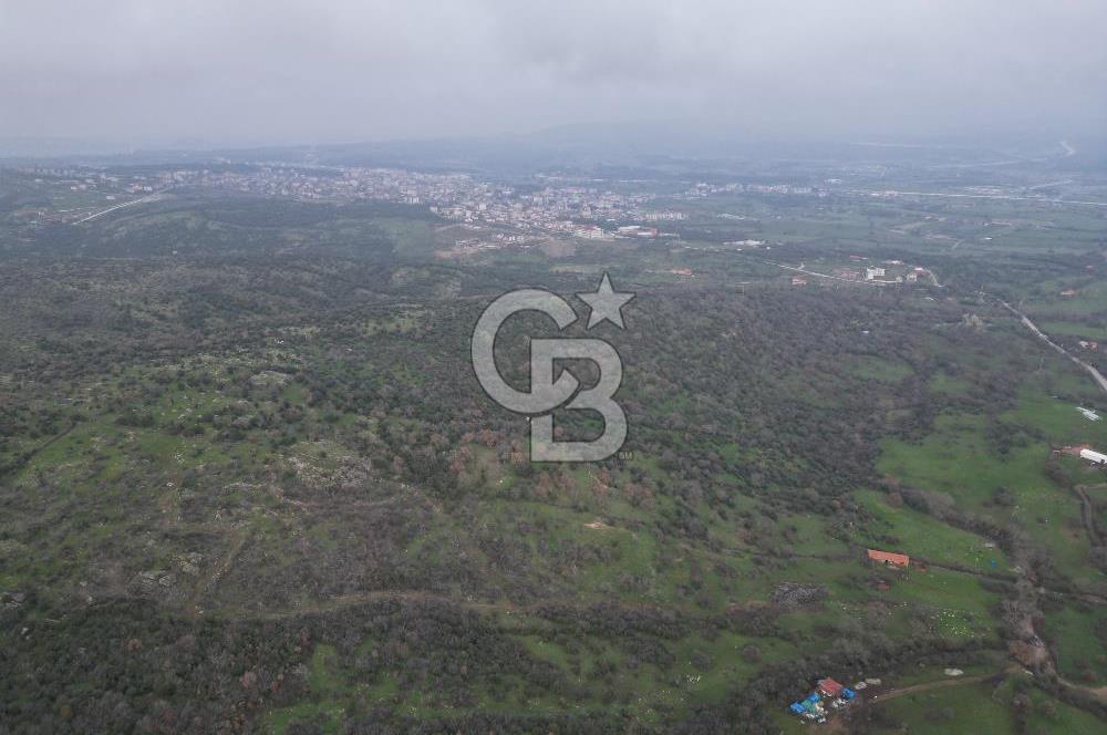 ÇANAKKALE AYVACIK İMAR SINIRINDA 122 DÖNÜM TEKTAPU SATILIK ARAZİ