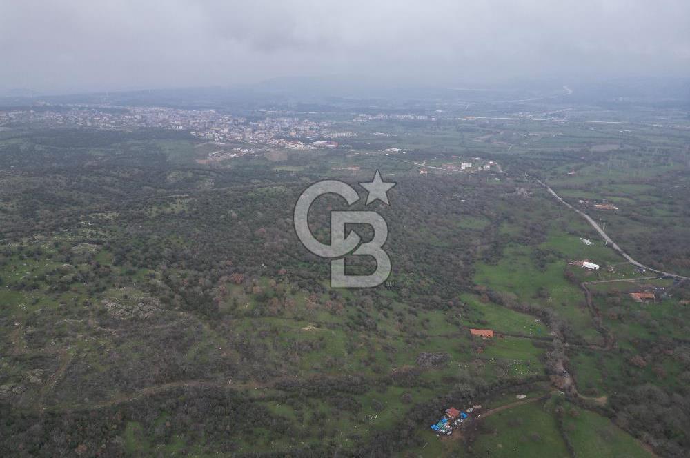 ÇANAKKALE AYVACIK İMAR SINIRINDA 122 DÖNÜM TEKTAPU SATILIK ARAZİ