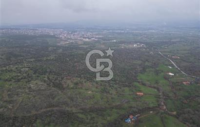 ÇANAKKALE AYVACIK İMAR SINIRINDA 122 DÖNÜM TEKTAPU SATILIK ARAZİ