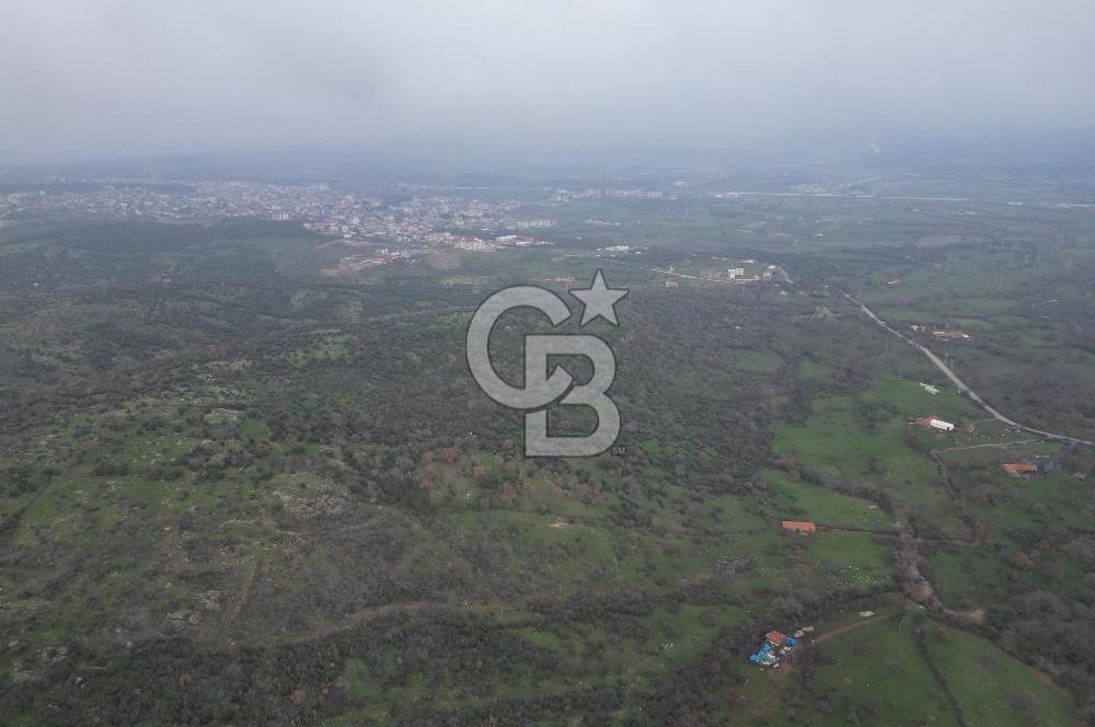 ÇANAKKALE AYVACIK İMAR SINIRINDA 122 DÖNÜM TEKTAPU SATILIK ARAZİ