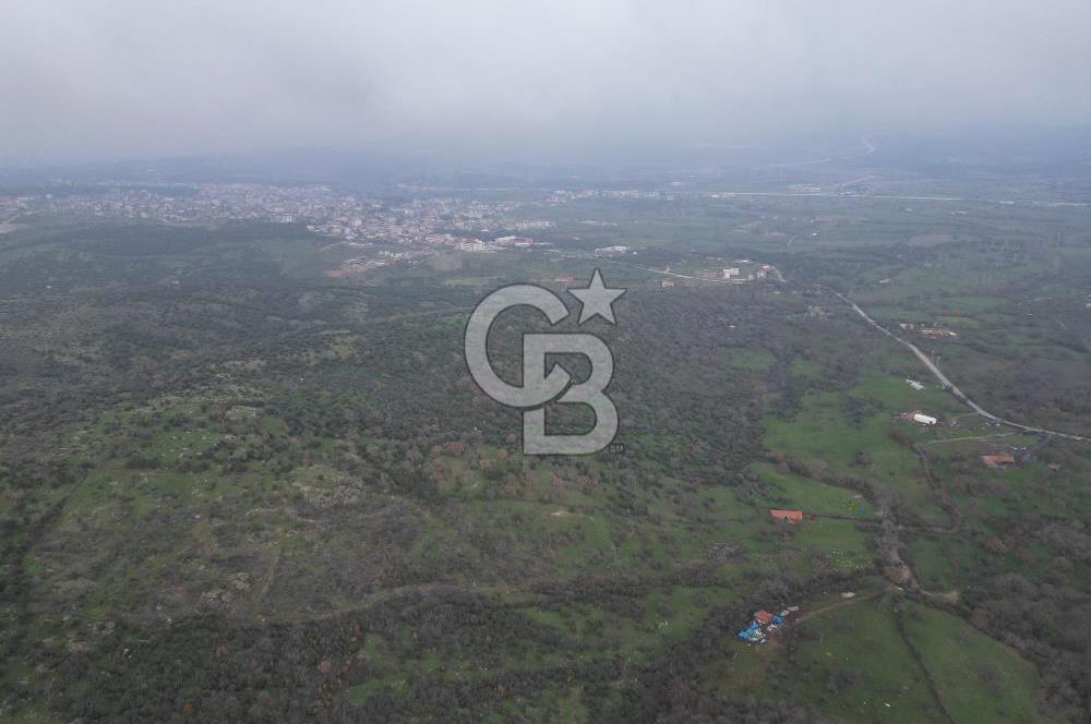 ÇANAKKALE AYVACIK İMAR SINIRINDA 122 DÖNÜM TEKTAPU SATILIK ARAZİ