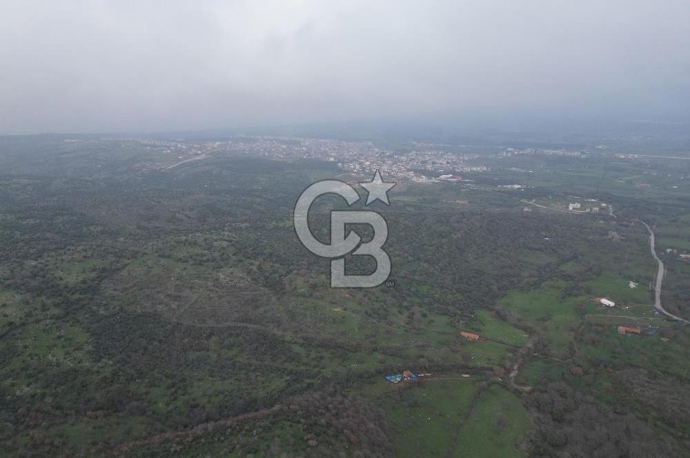 ÇANAKKALE AYVACIK İMAR SINIRINDA 122 DÖNÜM TEKTAPU SATILIK ARAZİ