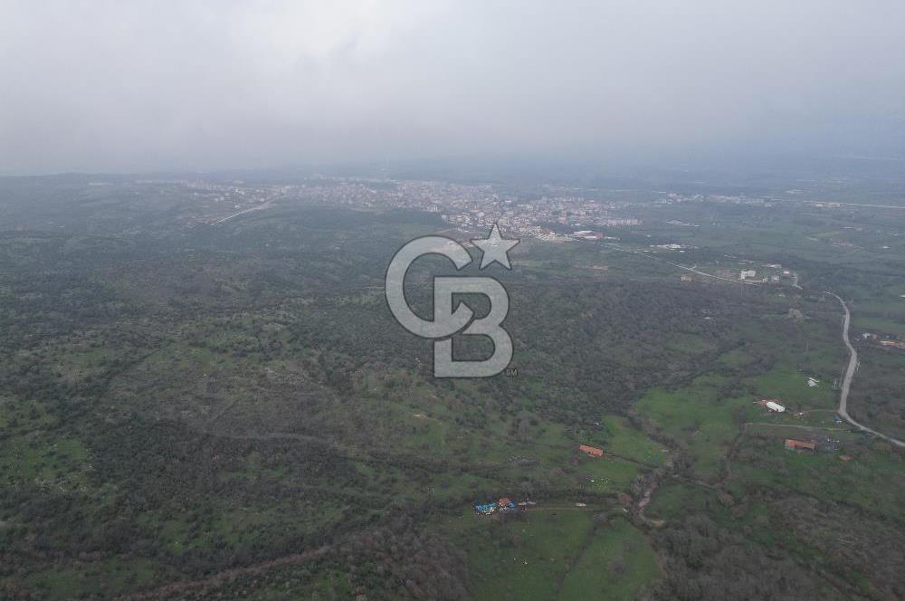 ÇANAKKALE AYVACIK İMAR SINIRINDA 122 DÖNÜM TEKTAPU SATILIK ARAZİ