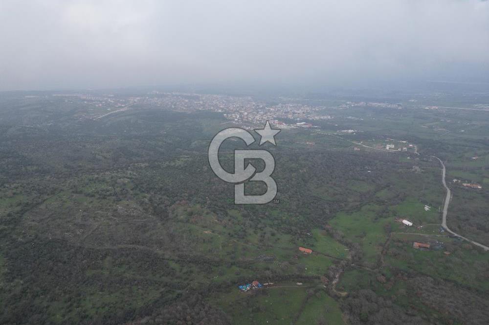 ÇANAKKALE AYVACIK İMAR SINIRINDA 122 DÖNÜM TEKTAPU SATILIK ARAZİ