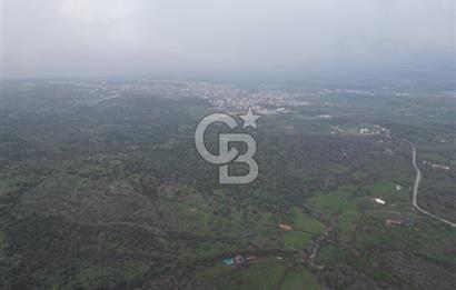 ÇANAKKALE AYVACIK İMAR SINIRINDA 122 DÖNÜM TEKTAPU SATILIK ARAZİ