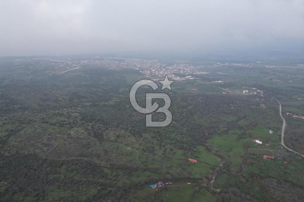 ÇANAKKALE AYVACIK İMAR SINIRINDA 122 DÖNÜM TEKTAPU SATILIK ARAZİ