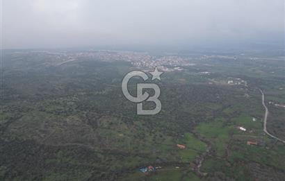 ÇANAKKALE AYVACIK İMAR SINIRINDA 122 DÖNÜM TEKTAPU SATILIK ARAZİ