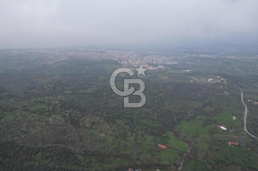 ÇANAKKALE AYVACIK İMAR SINIRINDA 122 DÖNÜM TEKTAPU SATILIK ARAZİ