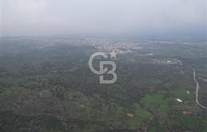 ÇANAKKALE AYVACIK İMAR SINIRINDA 122 DÖNÜM TEKTAPU SATILIK ARAZİ