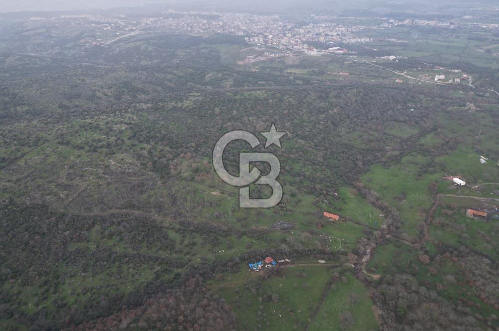 ÇANAKKALE AYVACIK İMAR SINIRINDA 122 DÖNÜM TEKTAPU SATILIK ARAZİ