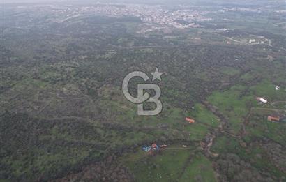 ÇANAKKALE AYVACIK İMAR SINIRINDA 122 DÖNÜM TEKTAPU SATILIK ARAZİ