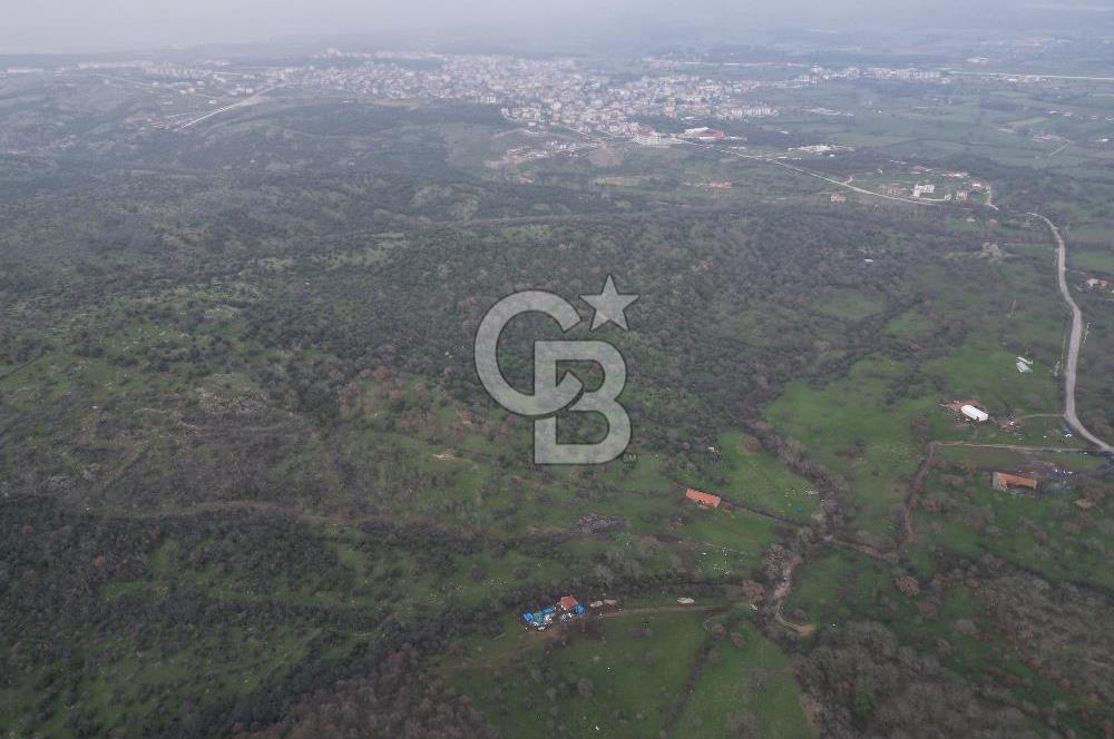 ÇANAKKALE AYVACIK İMAR SINIRINDA 122 DÖNÜM TEKTAPU SATILIK ARAZİ