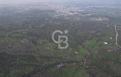 ÇANAKKALE AYVACIK İMAR SINIRINDA 122 DÖNÜM TEKTAPU SATILIK ARAZİ