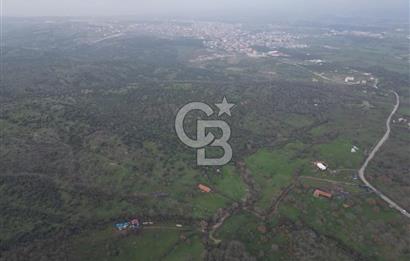 ÇANAKKALE AYVACIK İMAR SINIRINDA 122 DÖNÜM TEKTAPU SATILIK ARAZİ