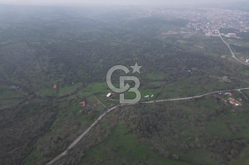 ÇANAKKALE AYVACIK İMAR SINIRINDA 122 DÖNÜM TEKTAPU SATILIK ARAZİ