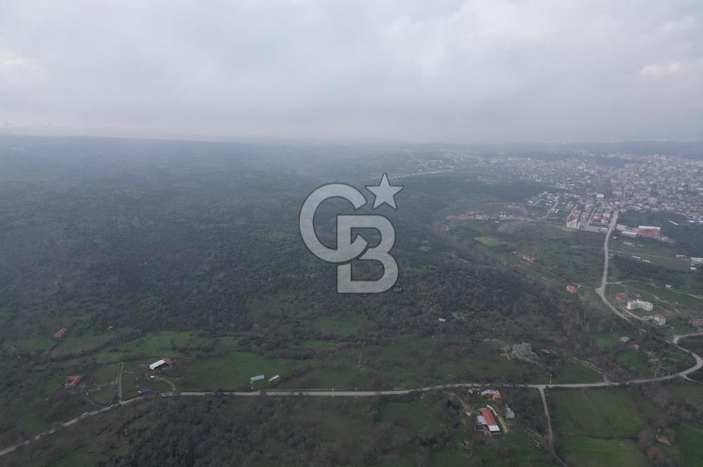 ÇANAKKALE AYVACIK İMAR SINIRINDA 122 DÖNÜM TEKTAPU SATILIK ARAZİ