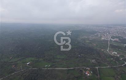 ÇANAKKALE AYVACIK İMAR SINIRINDA 122 DÖNÜM TEKTAPU SATILIK ARAZİ