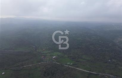 ÇANAKKALE AYVACIK İMAR SINIRINDA 122 DÖNÜM TEKTAPU SATILIK ARAZİ