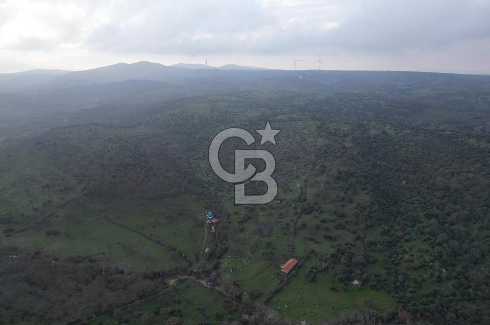 ÇANAKKALE AYVACIK İMAR SINIRINDA 122 DÖNÜM TEKTAPU SATILIK ARAZİ