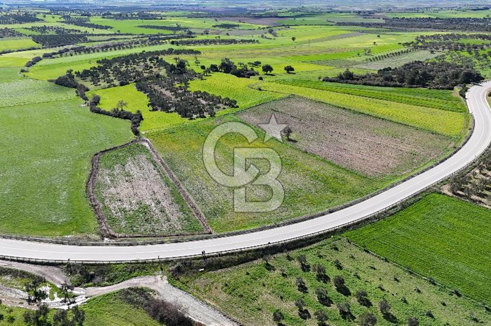ÇANAKKALE MERKEZ GÖKÇALI KÖYÜ’NDE 10 DÖNÜM YATIRIMLIK TARLA