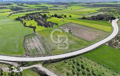 ÇANAKKALE MERKEZ GÖKÇALI KÖYÜ’NDE 10 DÖNÜM YATIRIMLIK TARLA