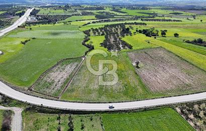 ÇANAKKALE MERKEZ GÖKÇALI KÖYÜ’NDE 10 DÖNÜM YATIRIMLIK TARLA