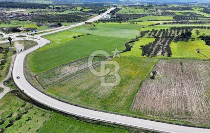 ÇANAKKALE MERKEZ GÖKÇALI KÖYÜ’NDE 10 DÖNÜM YATIRIMLIK TARLA