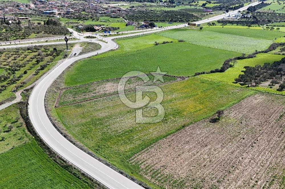 ÇANAKKALE MERKEZ GÖKÇALI KÖYÜ’NDE 10 DÖNÜM YATIRIMLIK TARLA