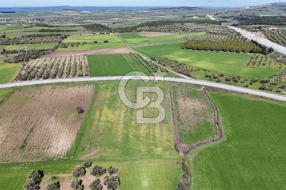 ÇANAKKALE MERKEZ GÖKÇALI KÖYÜ’NDE 10 DÖNÜM YATIRIMLIK TARLA
