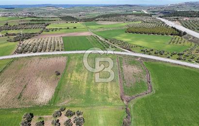 ÇANAKKALE MERKEZ GÖKÇALI KÖYÜ’NDE 10 DÖNÜM YATIRIMLIK TARLA