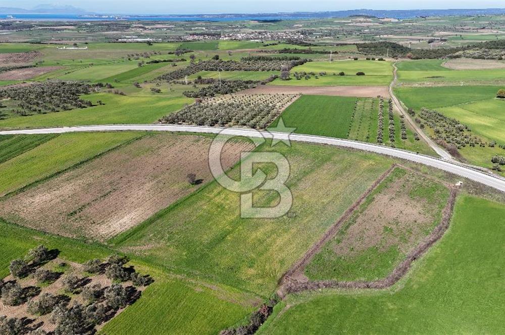 ÇANAKKALE MERKEZ GÖKÇALI KÖYÜ’NDE 10 DÖNÜM YATIRIMLIK TARLA