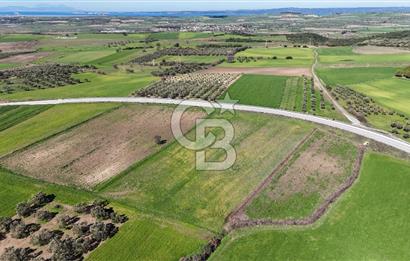 ÇANAKKALE MERKEZ GÖKÇALI KÖYÜ’NDE 10 DÖNÜM YATIRIMLIK TARLA