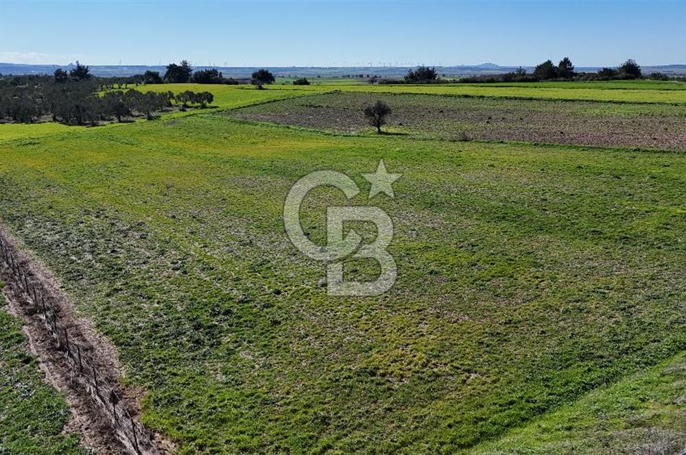 ÇANAKKALE MERKEZ GÖKÇALI KÖYÜ’NDE 10 DÖNÜM YATIRIMLIK TARLA