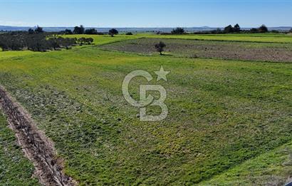 ÇANAKKALE MERKEZ GÖKÇALI KÖYÜ’NDE 10 DÖNÜM YATIRIMLIK TARLA